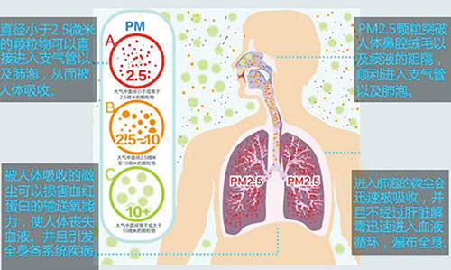 专家讲健康 - 空气污染的急慢性危害 - 北京积水潭医院