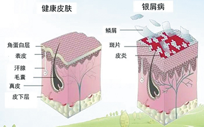 健康-18.jpg 健康-18.jpg
