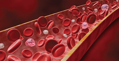 健-40.jpg 健-40.jpg