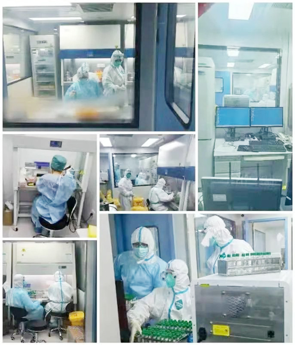 0101a13.jpeg 0101a13.jpeg