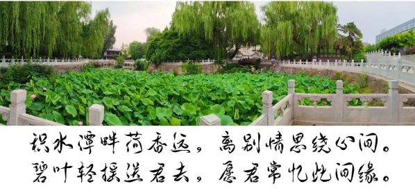 微信截图_20240627081256.png 微信截图_20240627081256.png