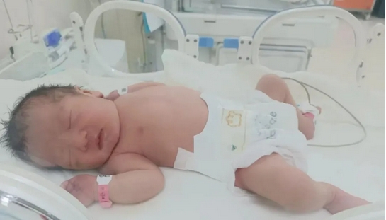 微信截图_20250319091536.png 微信截图_20250319091536.png